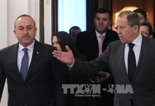 Россия и Турция договорились содействовать установлению перемирия в Сирии - ảnh 1
